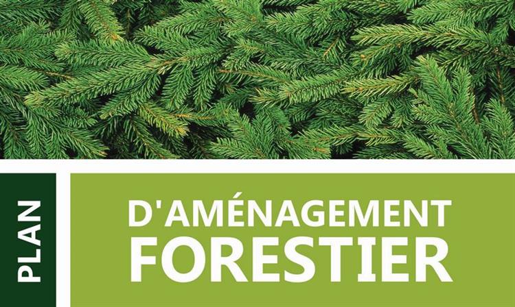 les plans d’aménagement forêt/faune